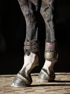 LeMieux EXO Flex Fetlock Boot 13 LeMieux EXO Flex Fetlock Boot -Equestrian Supply Store 3n6a8168 copy