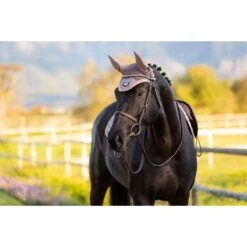 LeMieux Loire Rosé & Truffle Collection Fly Hoods -Equestrian Supply Store 79e385e0e64dd300f6c3b6c3152bfffb.image .1200x1200