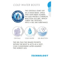 Premier Equine Cold Water Boots -Equestrian Supply Store Cold Water Boot Infographic big