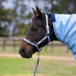 Eurohunter Comfort Halter And Lead -Equestrian Supply Store EMBHalter LeadPowderBlue Charcoal 720x 720x720 79bcd45e 4737 41b5 8c00 218064fda9d2