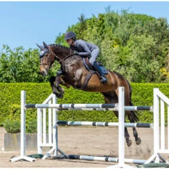 LeMieux Twilight Collection Classic Close Contact Square -Equestrian Supply Store FB IMG 1658474456889