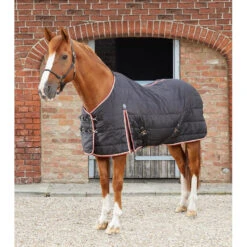 Premier Equine Garissa Stable Rug -Equestrian Supply Store Garissa Stable 100 Black 1 768x 49748848 0c2d 482e a6a8 dbe66285b4fe