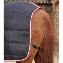 Premier Equine Garissa Stable Rug -Equestrian Supply Store Garissa Stable 100 Black 6 768x 75d3a987 a224 4d31 a7b7 91d89aa3061e