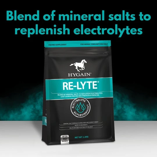 Hygain Re-Lyte 1 Hygain Re-Lyte