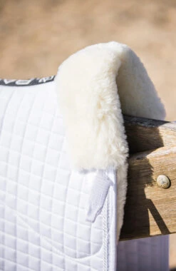 BARE Equestrian Deluxe Merino Dressage Saddlepad -Equestrian Supply Store J080068 1373x.progressive 6c77ae83 a730 420a 9851 837b0b79d9b1