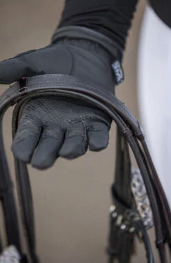 BARE Equestrian ProRider Mesh Grip Gloves 10 BARE Equestrian ProRider Mesh Grip Gloves -Equestrian Supply Store M171028 1373x.progressive 37ace4b6 6bd5 4b8a 8b0d 590edfe5472f