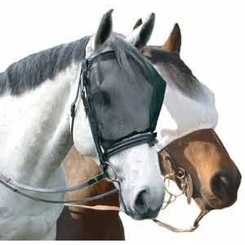 Cavallo Simple Ride Mask 1 Cavallo Simple Ride Mask