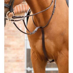 Premier Equine Santadi Adjustable Running Martingale -Equestrian Supply Store Santadi Adjustable Running Martingale Brown 1 768x b452694a ee7f 4f55 adfa 7427540265a8