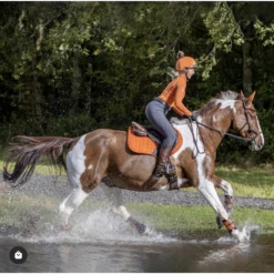 LeMieux Paprika Limited Edition Essential Saddlepads