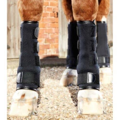 Premier Equine Turnout Boots -Equestrian Supply Store Turnout Boots 4 768x e126dedb 4048 4215 8da1 514eeb2e03a2