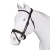 Acavallo Primavera Bridle