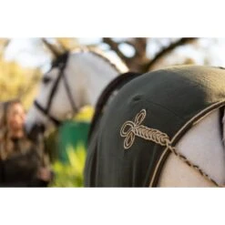 LeMieux Fleece Rug  -Equestrian Supply Store af67c01f40359095f86bbc2d7f80e157.image .1200x1200