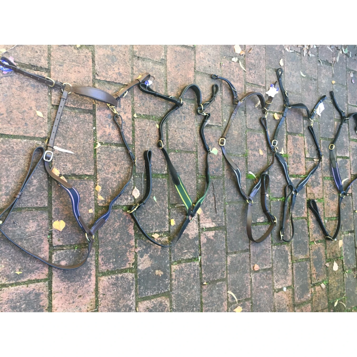 Anthony Thomas Signature Range Stockmans Breastplate 4 Anthony Thomas Signature Range Stockmans Breastplate - Image 4