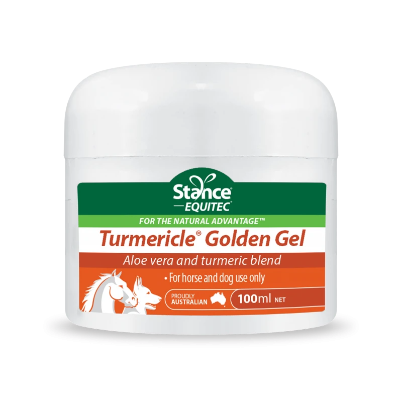 Equitec Turmericle Golden Gel 1 Equitec Turmericle Golden Gel