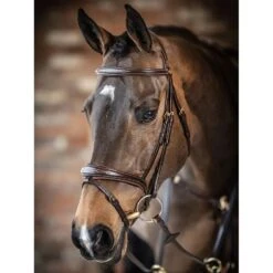 LeMieux Competition Bridle -Equestrian Supply Store g0a7025 1