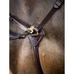 LeMieux Breastplate -Equestrian Supply Store g0a7162
