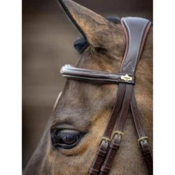 LeMieux Competition Bridle -Equestrian Supply Store g0a7191