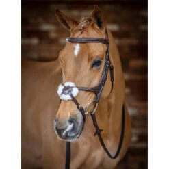 LeMieux Kudos Grackle Bridle -Equestrian Supply Store g0a7229
