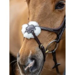 LeMieux Kudos Grackle Bridle -Equestrian Supply Store g0a7269