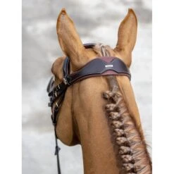 LeMieux Competition Bridle -Equestrian Supply Store g0a7434