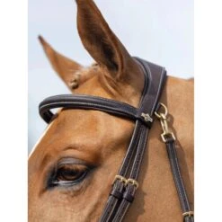 LeMieux Kudos Work Bridle -Equestrian Supply Store g0a7510