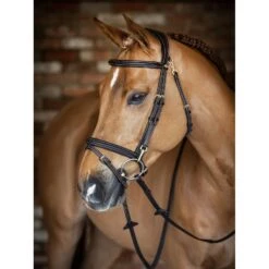 LeMieux Kudos Work Bridle -Equestrian Supply Store g0a7546