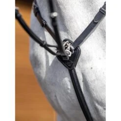 LeMieux Breastplate -Equestrian Supply Store g0a7570