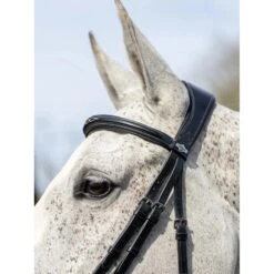 LeMieux Competition Bridle -Equestrian Supply Store g0a7614