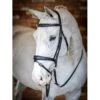 LeMieux Competition Bridle