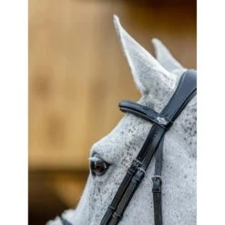 LeMieux Kudos Grackle Bridle -Equestrian Supply Store g0a7802