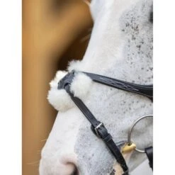 LeMieux Kudos Grackle Bridle -Equestrian Supply Store g0a7805