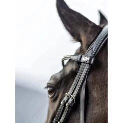 LeMieux Kudos Dressage Bridle 11 LeMieux Kudos Dressage Bridle -Equestrian Supply Store g0a7914