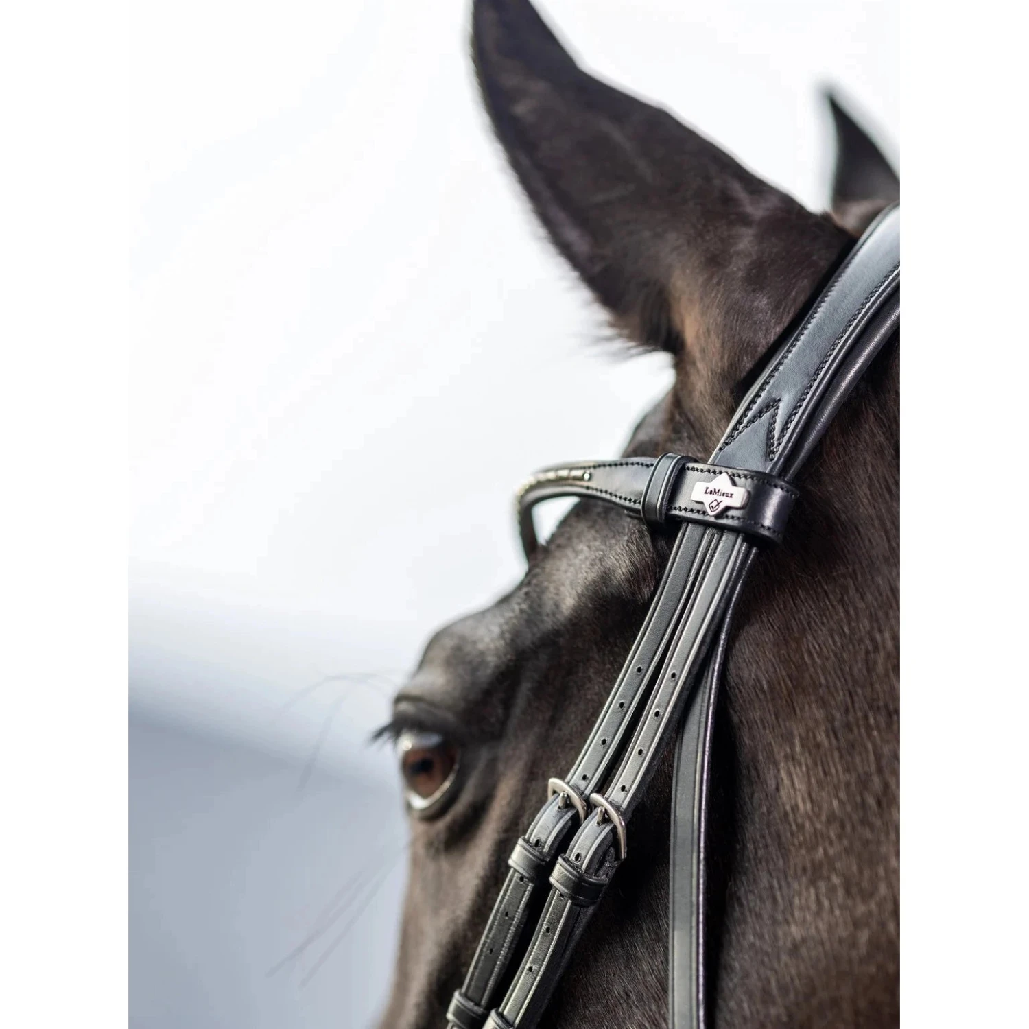 LeMieux Kudos Dressage Bridle 3 LeMieux Kudos Dressage Bridle - Image 3