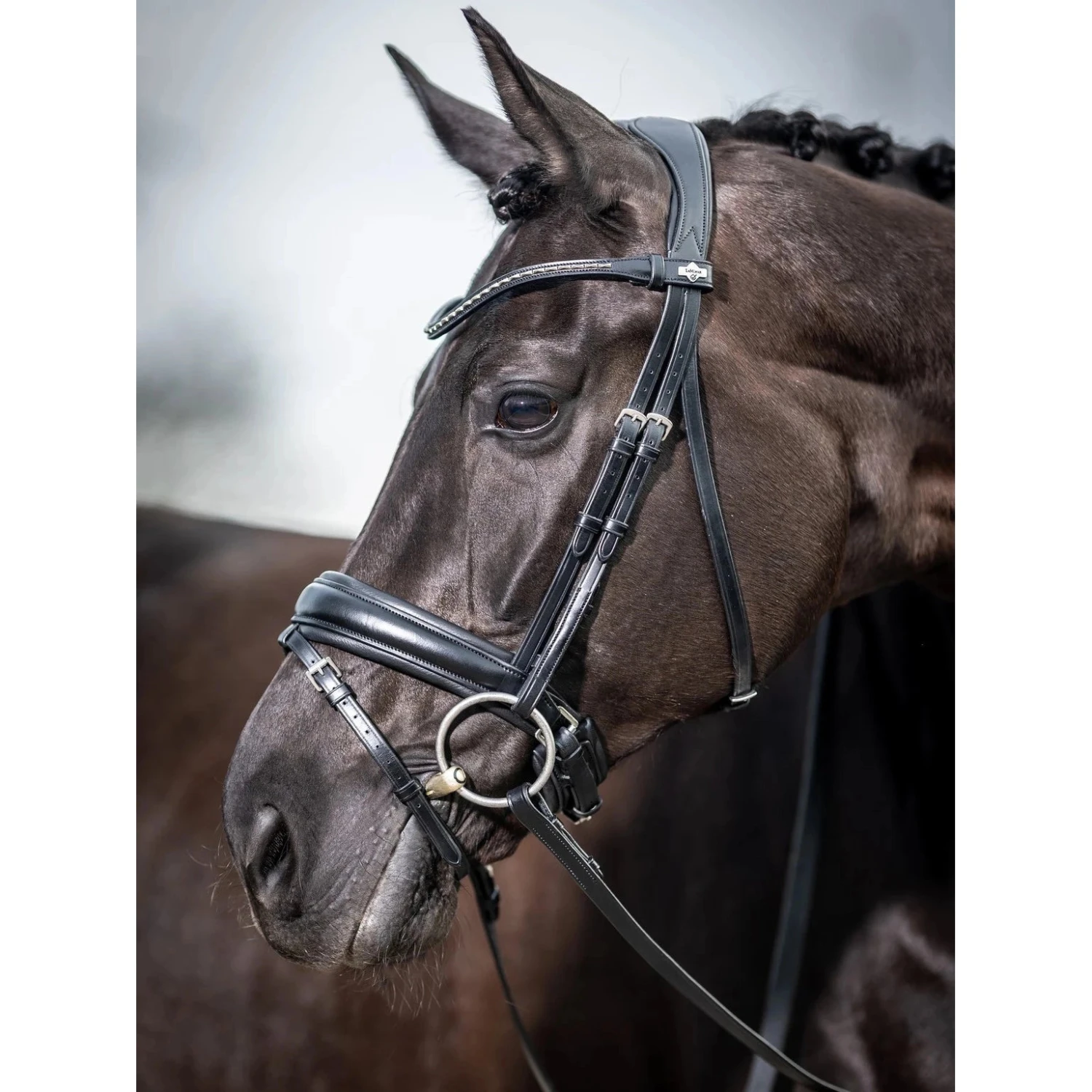 LeMieux Kudos Dressage Bridle 4 LeMieux Kudos Dressage Bridle - Image 4