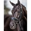 LeMieux Kudos Dressage Bridle