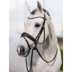 LeMieux Kudos Dressage Bridle 14 LeMieux Kudos Dressage Bridle -Equestrian Supply Store g0a7990 v2