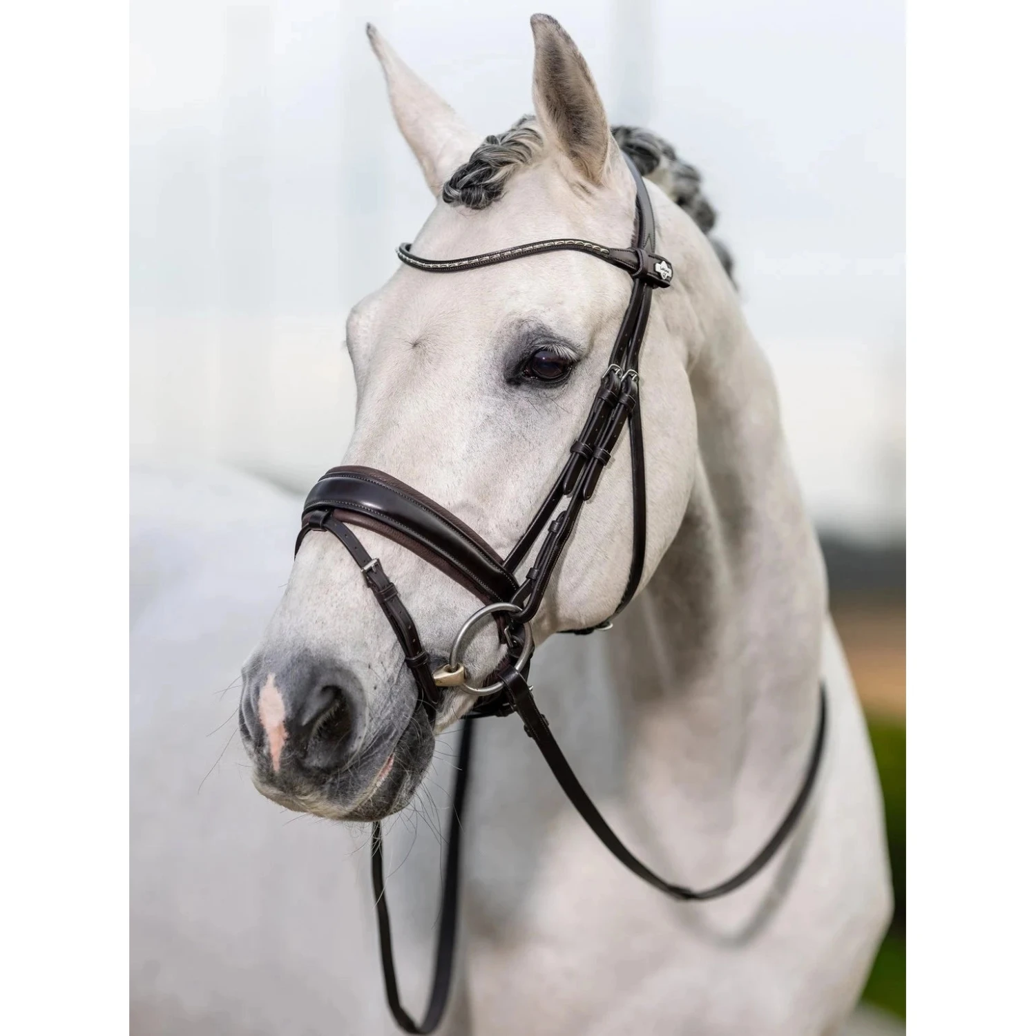 LeMieux Kudos Dressage Bridle 6 LeMieux Kudos Dressage Bridle - Image 6