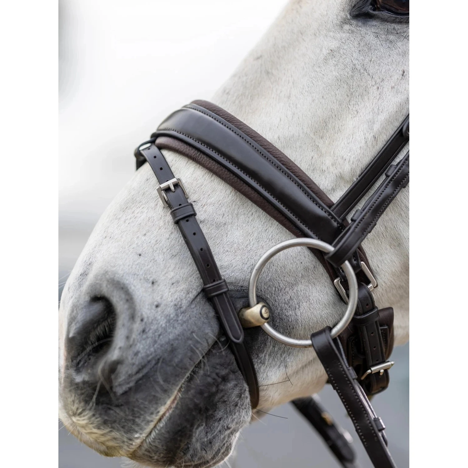 LeMieux Kudos Dressage Bridle 9 LeMieux Kudos Dressage Bridle - Image 9
