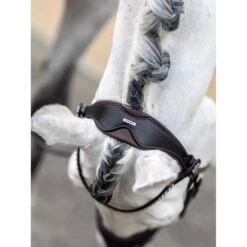 LeMieux Kudos Dressage Bridle 16 LeMieux Kudos Dressage Bridle -Equestrian Supply Store g0a8042