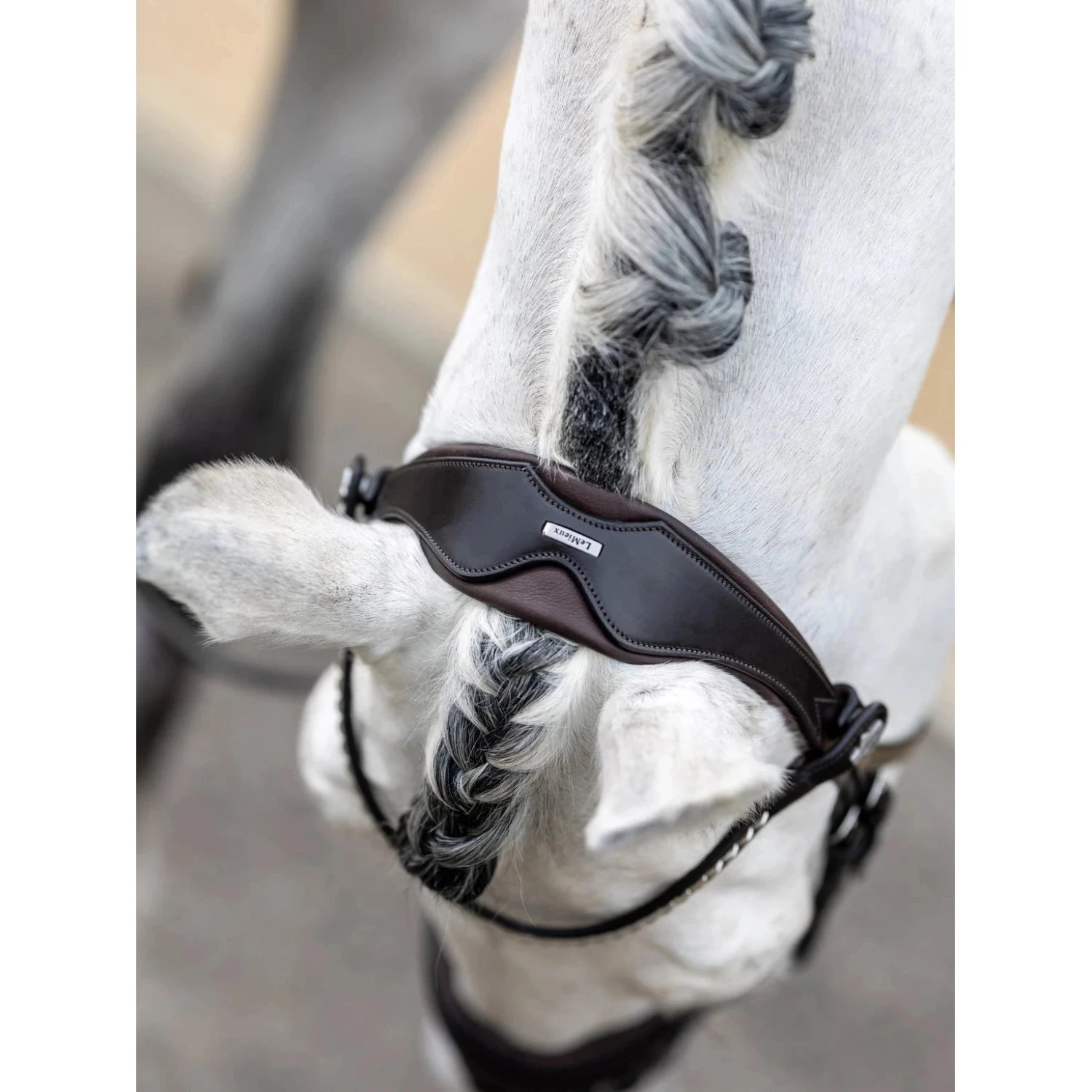 LeMieux Kudos Dressage Bridle 8 LeMieux Kudos Dressage Bridle - Image 8