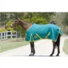 Horsemaster 20oz Ripstop 200g Canvas Rug 6'6 *SALE*