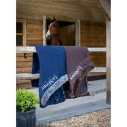 LeMieux Fleece Rug  -Equestrian Supply Store image 0d0833ec 230b 44d7 99b3 5dcb947fc7e8