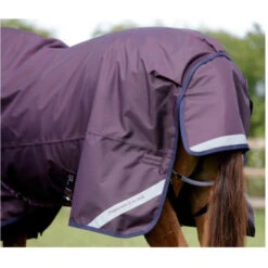 Premier Equine Titan 200 Original Turnout Rug -Equestrian Supply Store image 370b11d4 025e 4765 a11b 13f7f2df52b1