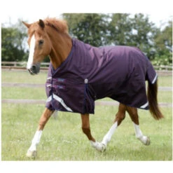 Premier Equine Titan 200 Original Turnout Rug
