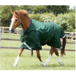 Premier Equine Buster Zero Original Turnout Rug -Equestrian Supply Store image 760e8c3e 1955 4cec aa5a 8cdb4874f2e9
