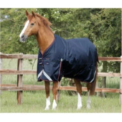 Premier Equine Titan 200 Original Turnout Rug -Equestrian Supply Store image c5e1cf40 fe08 4ac8 9b04 bb42adaba51e