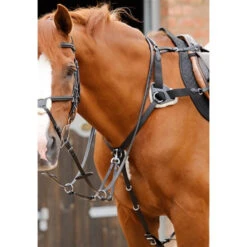 Premier Equine Invorio 5 Point Breastplate