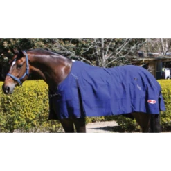 Zilco Blue Mountain Canvas Rug