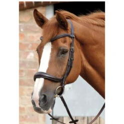 Premier EquineLambro Anatomic Bridle With Crank Noseband -Equestrian Supply Store imagejpg 3fc6f3ad a279 4625 b525 34642762d595