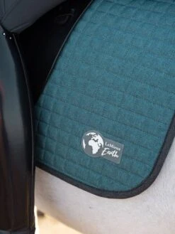 LeMieux Earth Collection Dressage Saddlepad -Equestrian Supply Store it01417 lifestyleearthdressagepad ocean 1 copy